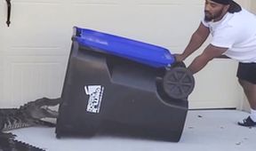 Přistiženi při činu (3)
