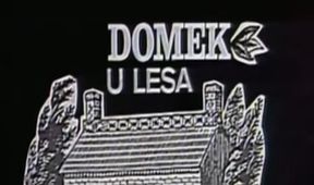 Domek u lesa