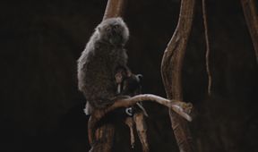 Neznámý kout Afriky - Mount Suswa