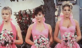 Beverly Hills 90210 II (6/28)