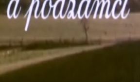 V zámku a podzámčí