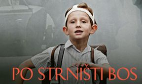 Po strništi bos