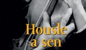 Housle a sen