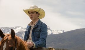 Yellowstone IV (2/10)