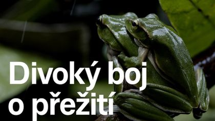 Divoký boj o přežití II (7)