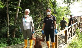 Divoké Borneo Judi Denchové