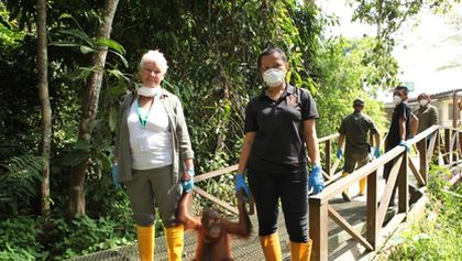 Divoké Borneo Judi Denchové