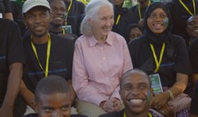 Jane Goodallová: Naděje