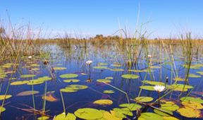 Velkolepá Afrika (3)