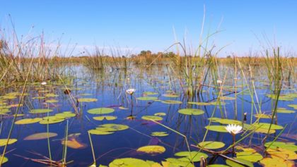 Velkolepá Afrika (3)