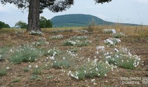 Krajinou domova (2/8)