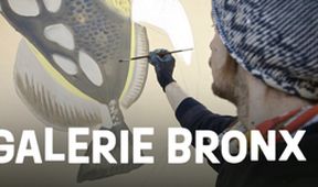 Galerie Bronx