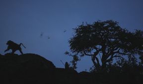 Neznámý kout Afriky - Mount Suswa