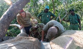 Záchrana divokých zvířat v Malawi II (2)