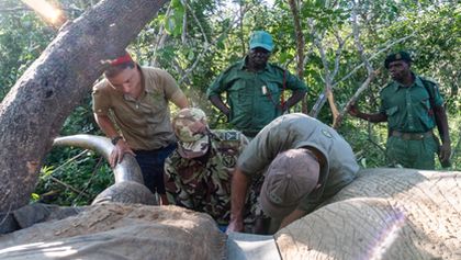 Záchrana divokých zvířat v Malawi II (2)