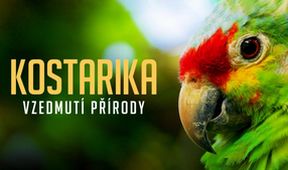 Kostarika - vzedmutí přírody (2/3)