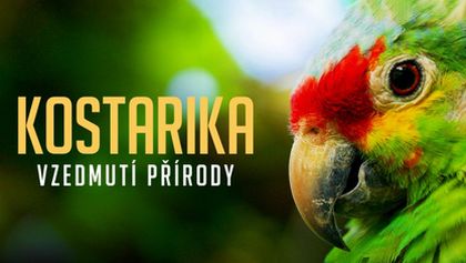 Kostarika - vzedmutí přírody (2/3)