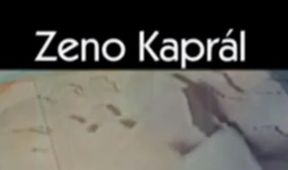 Zeno Kaprál - básník