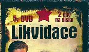 Likvidace