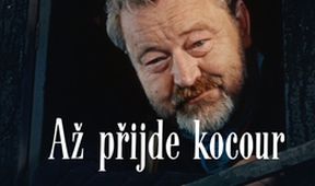Až přijde kocour, Je nám ctí... Jan Werich – 120 let