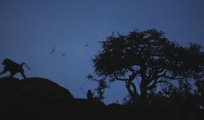 Neznámý kout Afriky - Mount Suswa