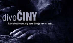 divoČINY