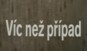 Víc než případ