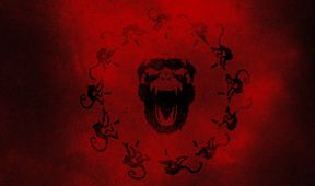 12 Monkeys