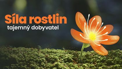 Síla rostlin - tajemný dobyvatel