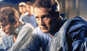 Paul Newman - neklidný, Příběhy filmových legend