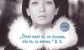 Dita Saxová