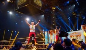 TV Total - Promi Wrestling