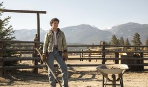 Yellowstone III (7/10)