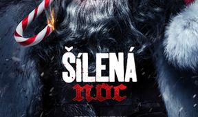 Šílená noc