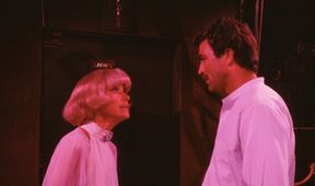 Magnum VI (12/20)