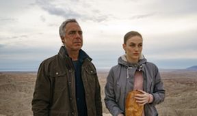 Bosch V (6/10)