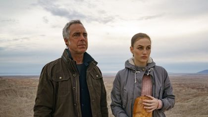 Bosch V (6/10)