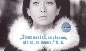 Dita Saxová