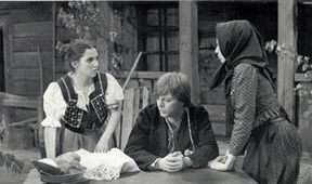Ženský zákon