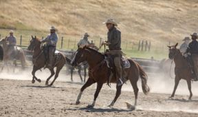 Yellowstone III (5/10)
