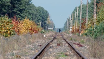Sobibor: Anatomie vyhlazovacího tábora, Mezinárodní den památky obětí holocaustu