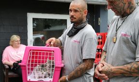 Harte Hunde - Ralf Seeger greift ein