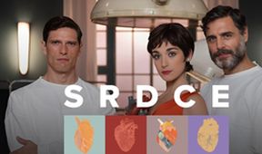 Srdce (14/16)