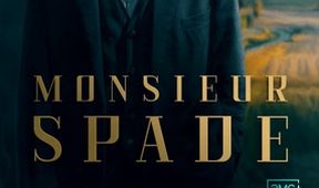 Případy detektiva Spadea (1)