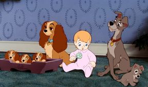Lady a Tramp