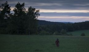 Král Šumavy: Fantom temného kraje (3)