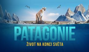 Patagonie - život na konci světa (6/6)
