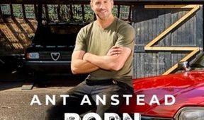 Ant Anstead: Rozený mechanik (8)