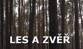 Les a zvěř