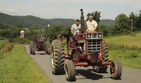 Stavby v divočině II (8)